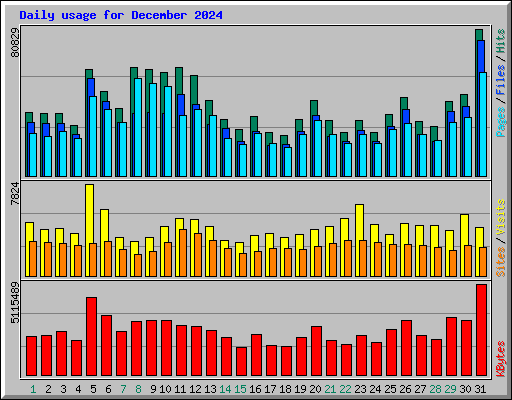 Daily usage for December 2024