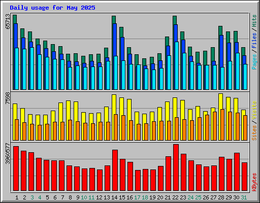 Daily usage for May 2025