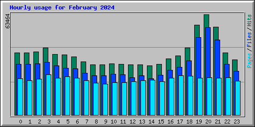 Hourly usage for February 2024