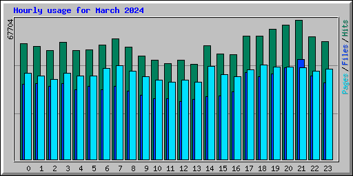 Hourly usage for March 2024