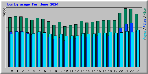 Hourly usage for June 2024