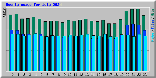 Hourly usage for July 2024