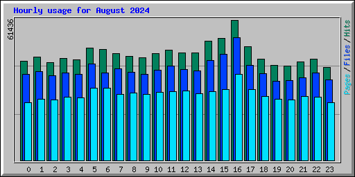 Hourly usage for August 2024