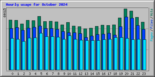 Hourly usage for October 2024