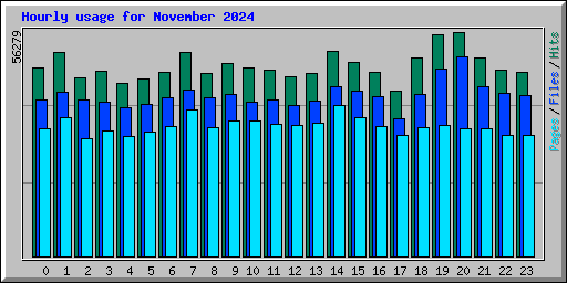 Hourly usage for November 2024