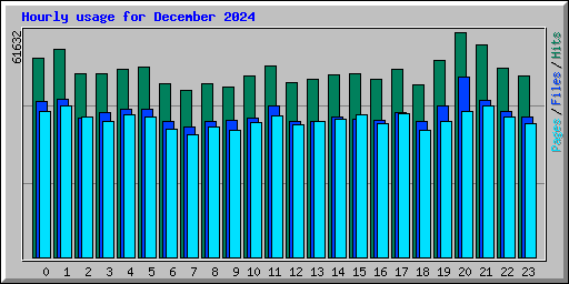 Hourly usage for December 2024