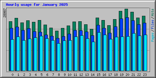 Hourly usage for January 2025