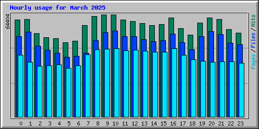 Hourly usage for March 2025
