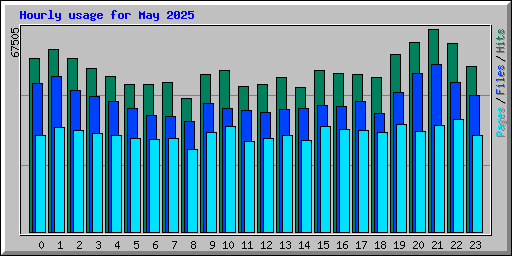 Hourly usage for May 2025